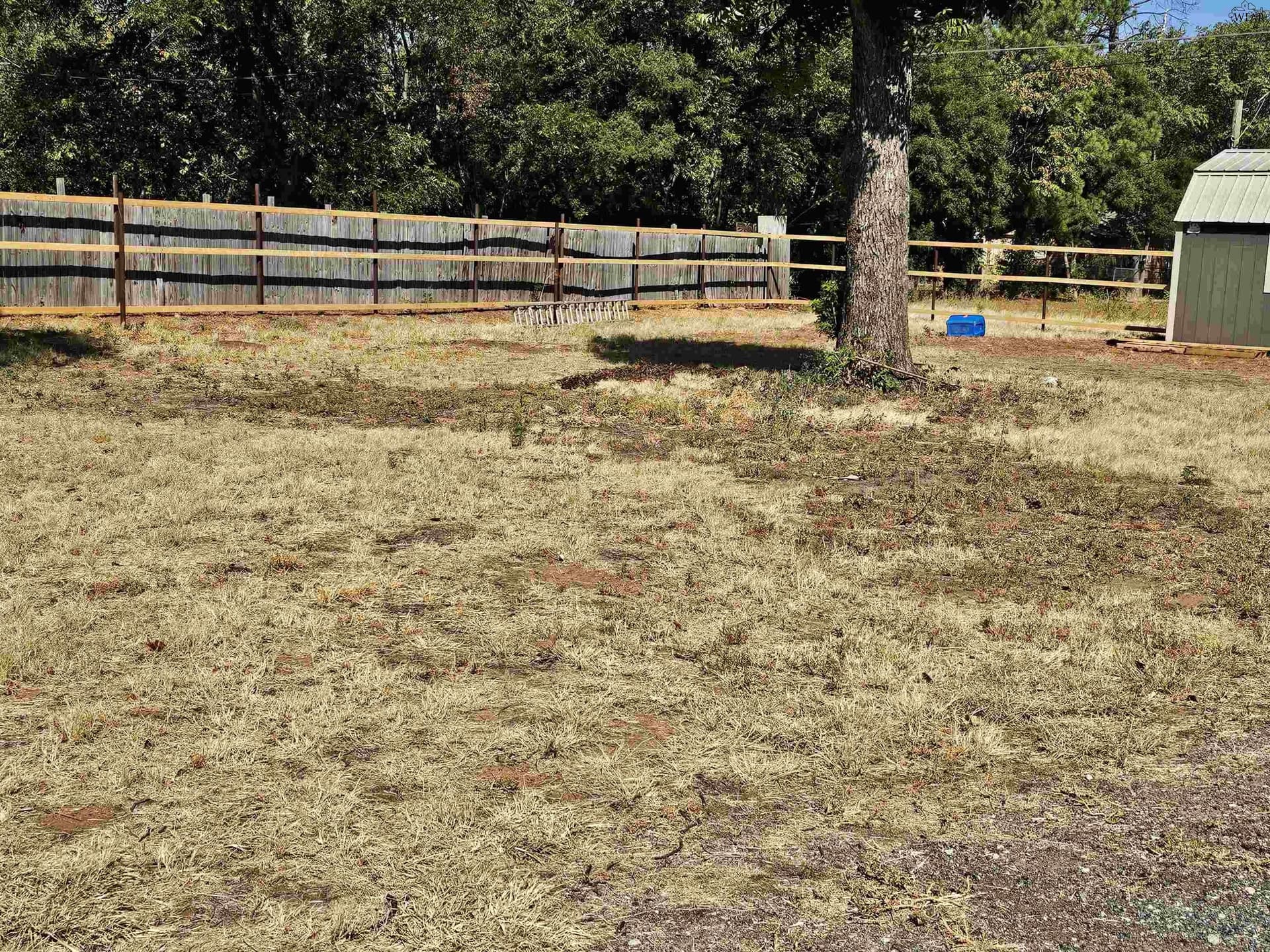 0.29 acres in Wichita County - photo 8