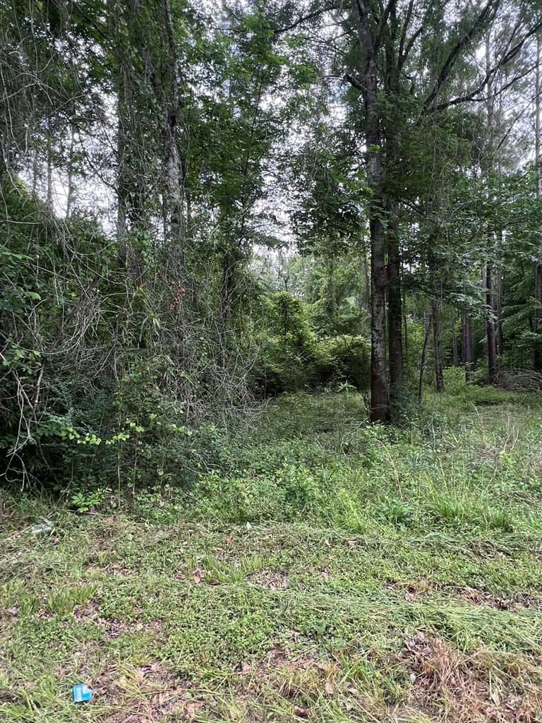 1.45 acres in Texas County - photo 7