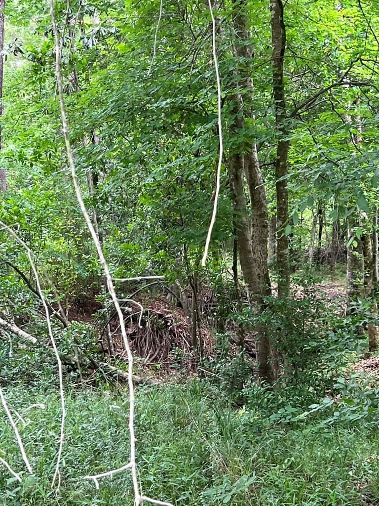 1.45 acres in Texas County - photo 8
