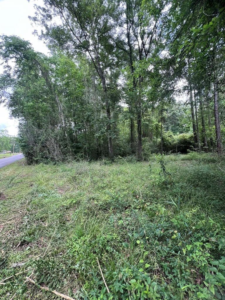 1.45 acres in Texas County - photo 6