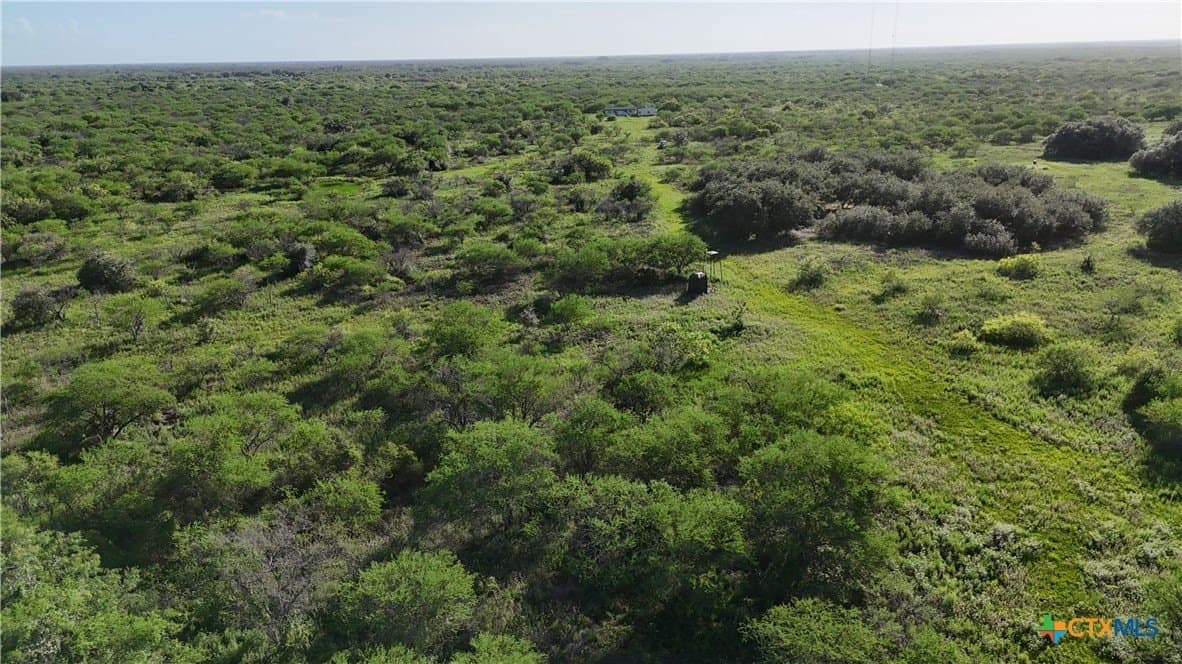 65.49 acres in Goliad County - photo 6