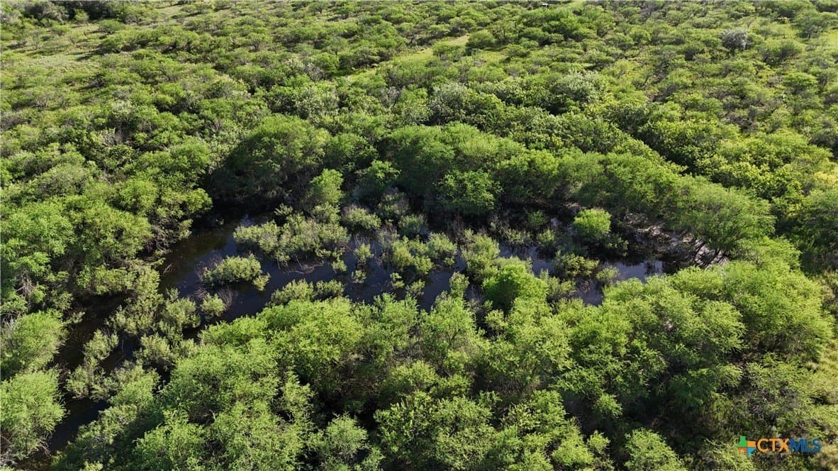 65.49 acres in Goliad County - photo 10