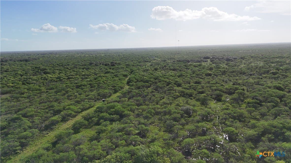 65.49 acres in Goliad County - photo 11