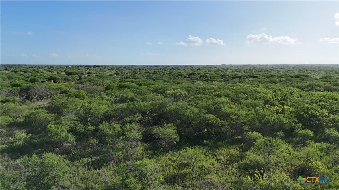 65.49 acres in Goliad County - photo 8