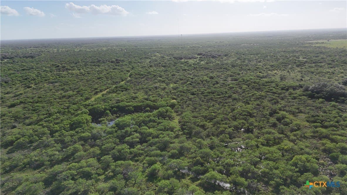 65.49 acres in Goliad County - photo 12