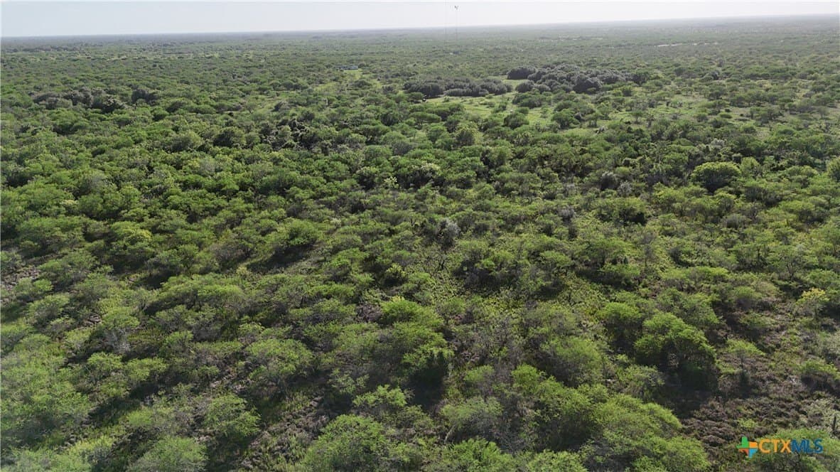 65.49 acres in Goliad County - photo 9