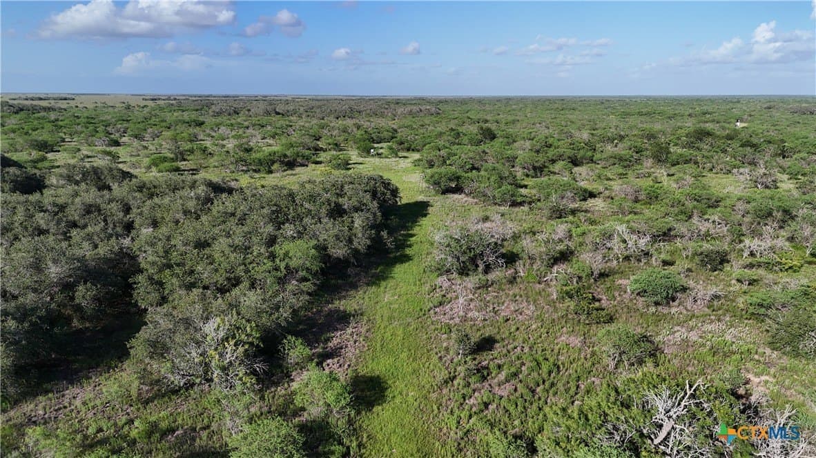 65.49 acres in Goliad County - photo 7