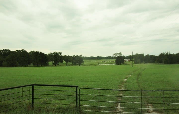 51.08 acres in Henderson County - photo 6