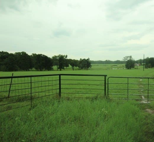 51.08 acres in Henderson County gallery image 3