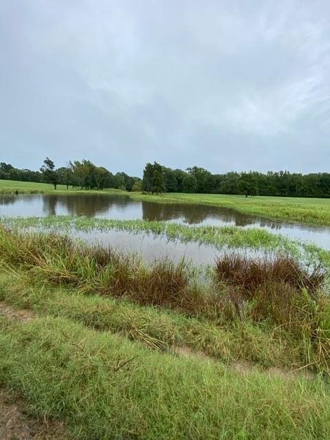 51.08 acres in Henderson County - photo 9