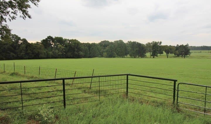 51.08 acres in Henderson County gallery image 4