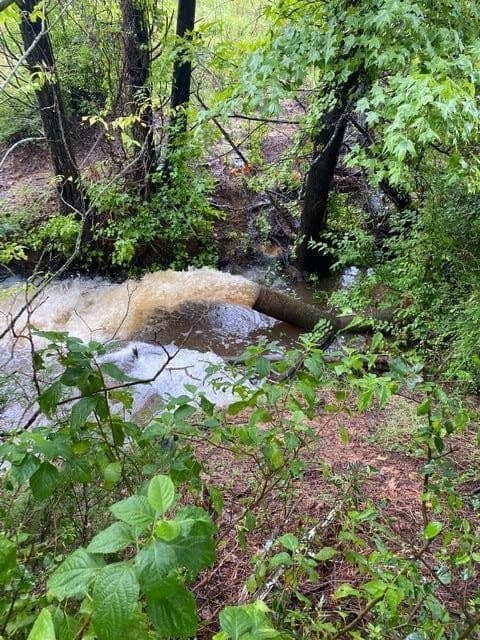 51.08 acres in Henderson County