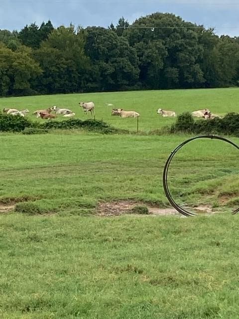 51.08 acres in Henderson County - photo 12