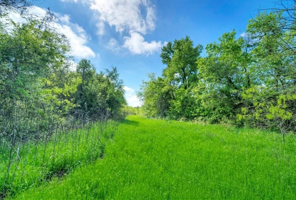 51.04 acres in Bastrop County - photo 31