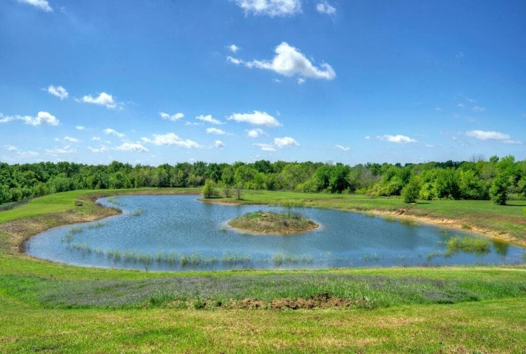 51.04 acres in Bastrop County - photo 27