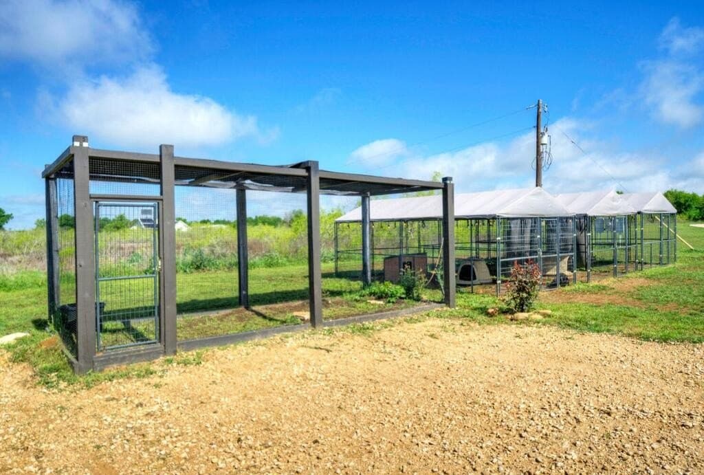 51.04 acres in Bastrop County - photo 28