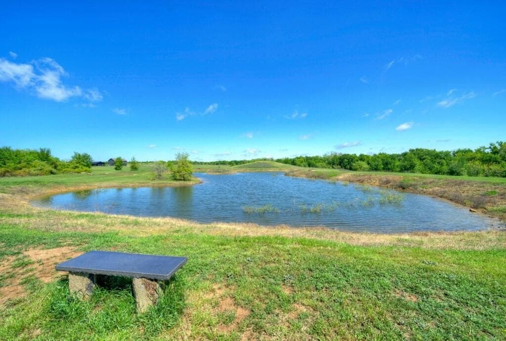 51.04 acres in Bastrop County - photo 7