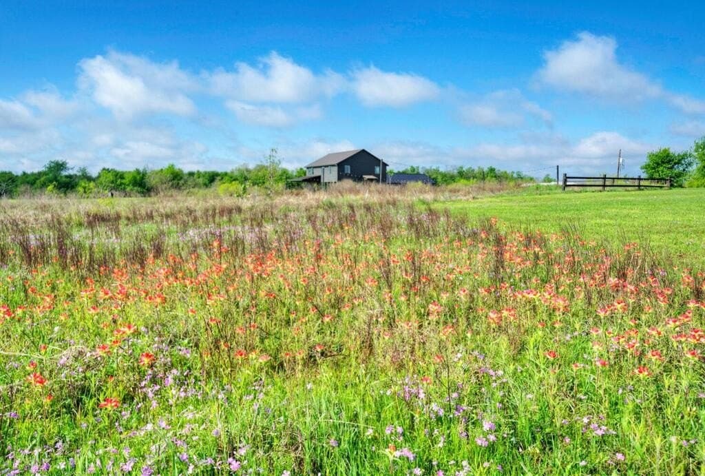 51.04 acres in Bastrop County - photo 3