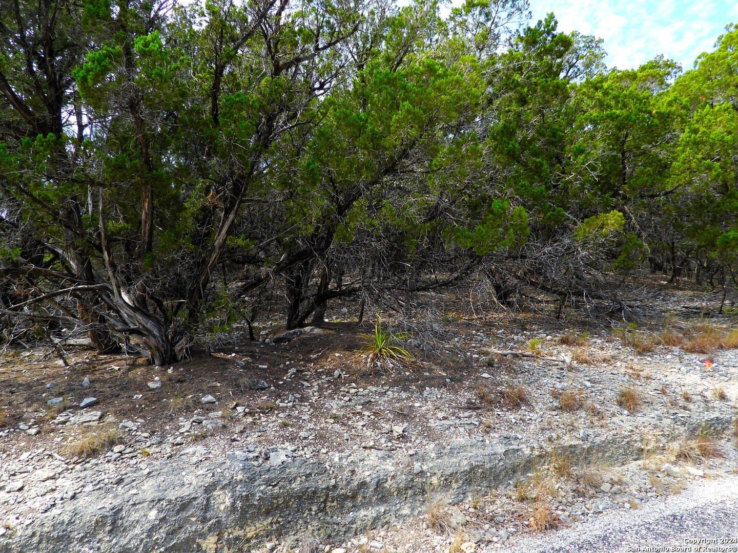 4.97 acres in Bandera County - photo 13