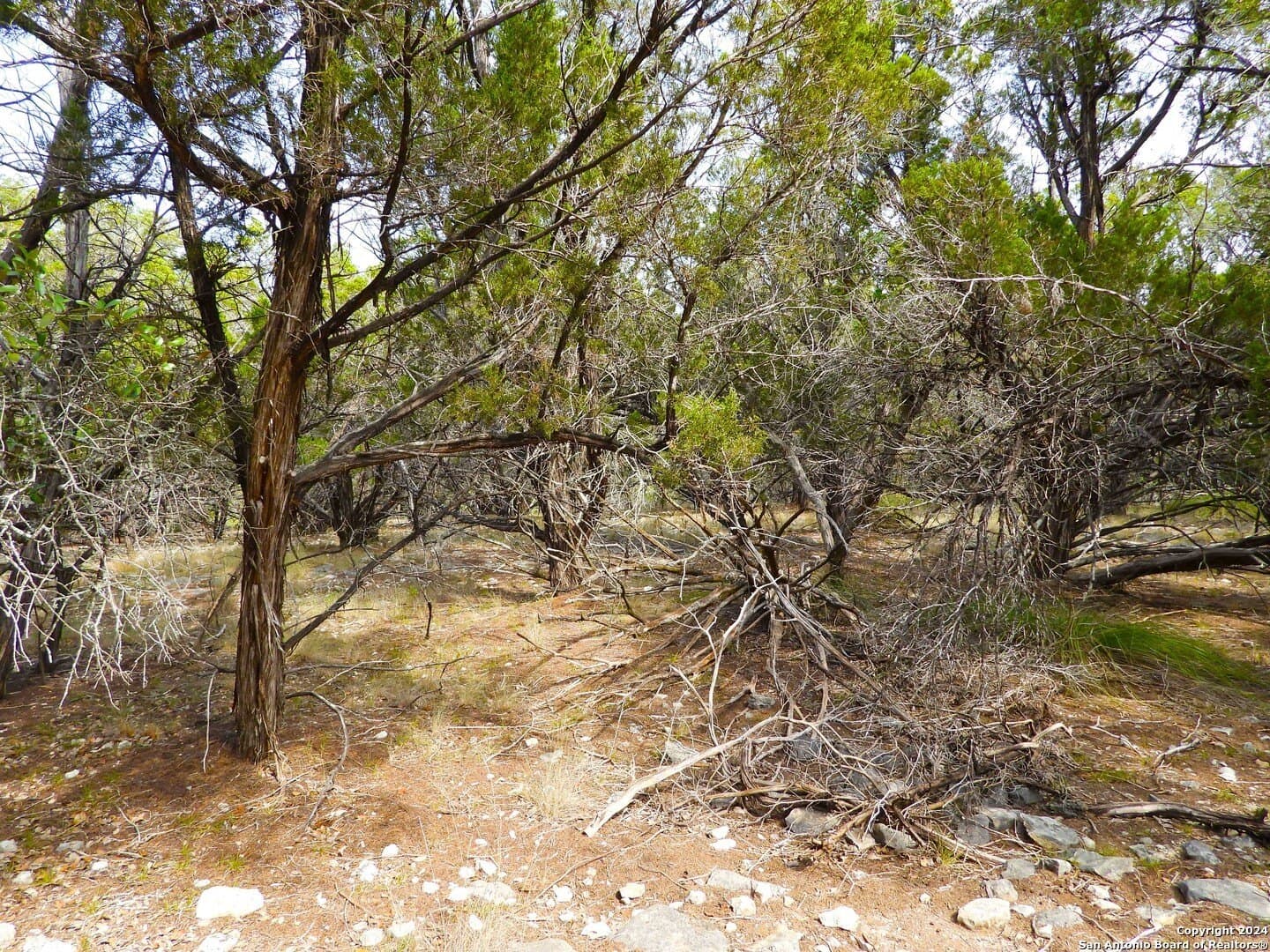 4.97 acres in Bandera County - photo 16