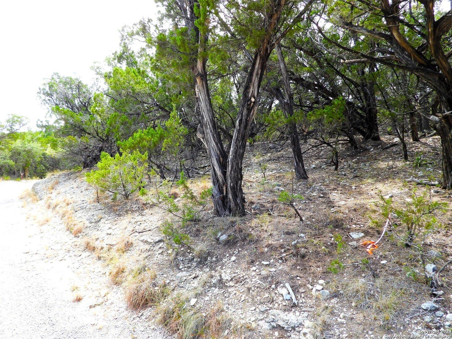 4.97 acres in Bandera County - photo 14