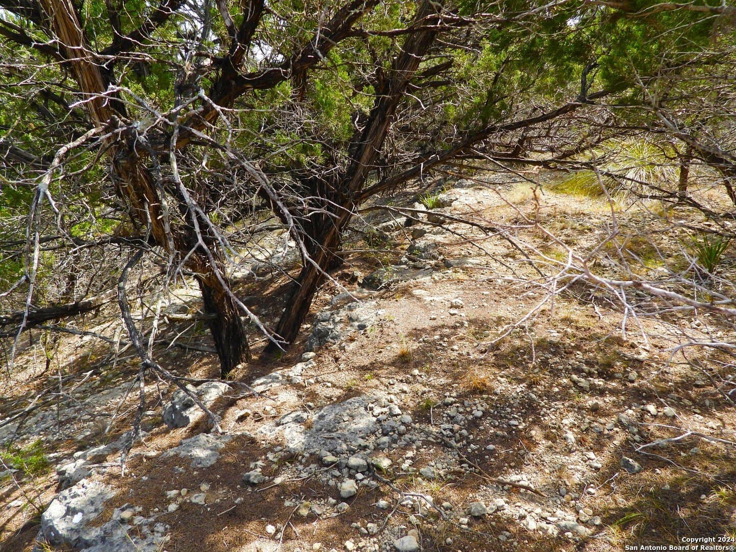 4.97 acres in Bandera County - photo 20