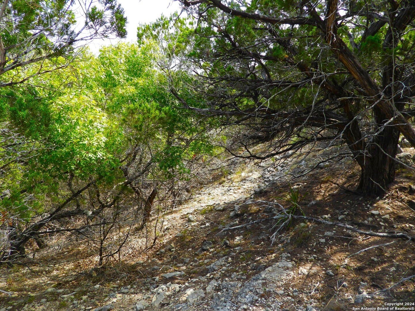4.97 acres in Bandera County - photo 21