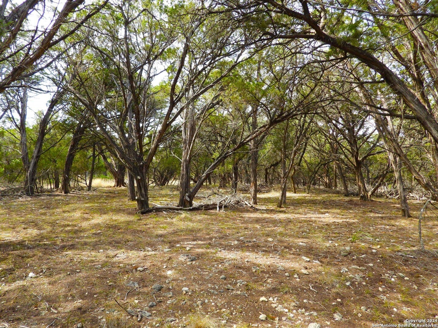 4.97 acres in Bandera County - photo 17