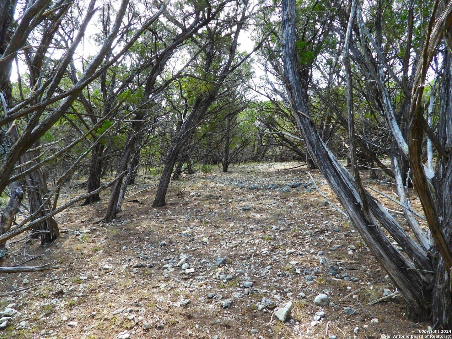 4.97 acres in Bandera County - photo 23