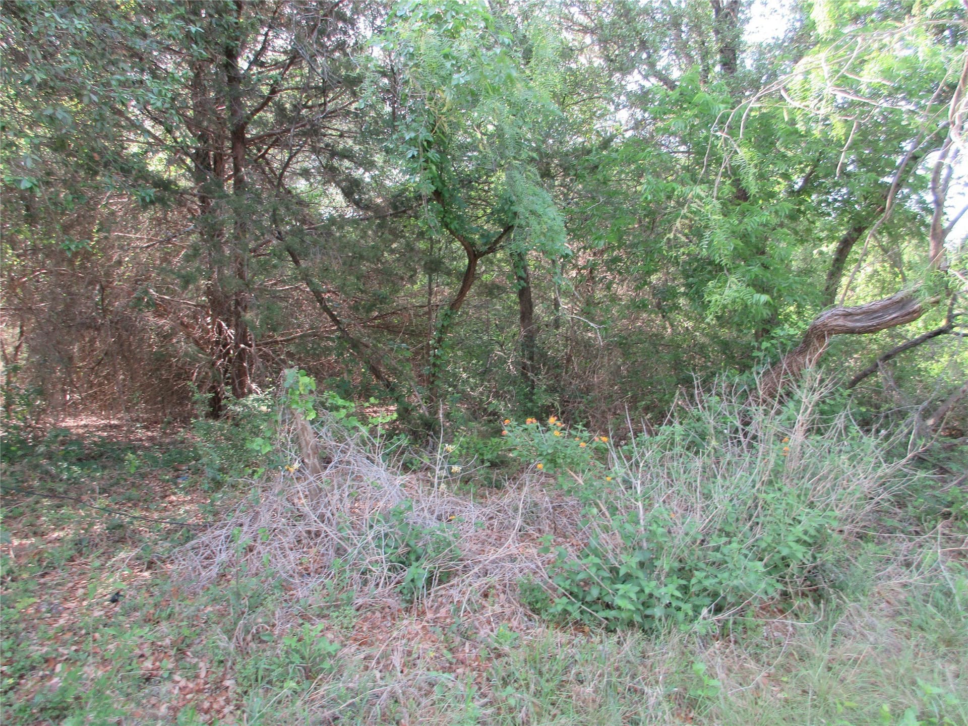 6.55 acres in Falls County - photo 6