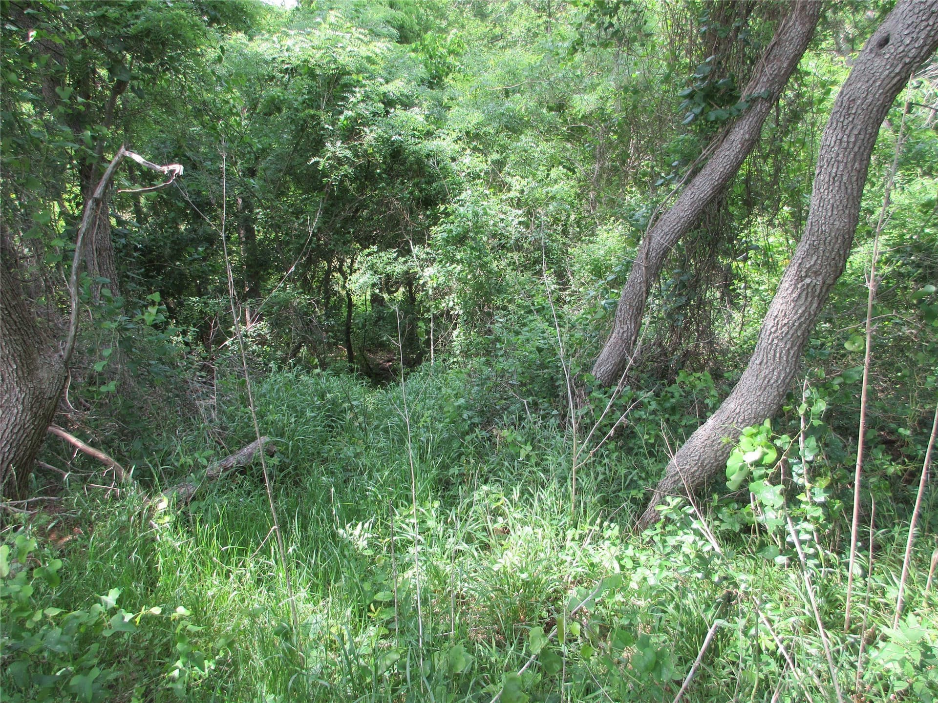 6.55 acres in Falls County gallery image 4