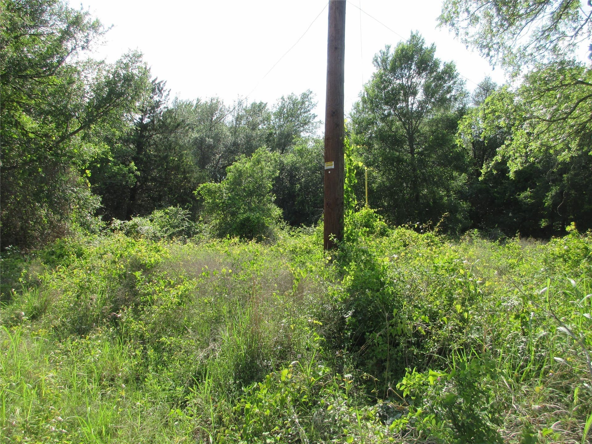 6.55 acres in Falls County - photo 7