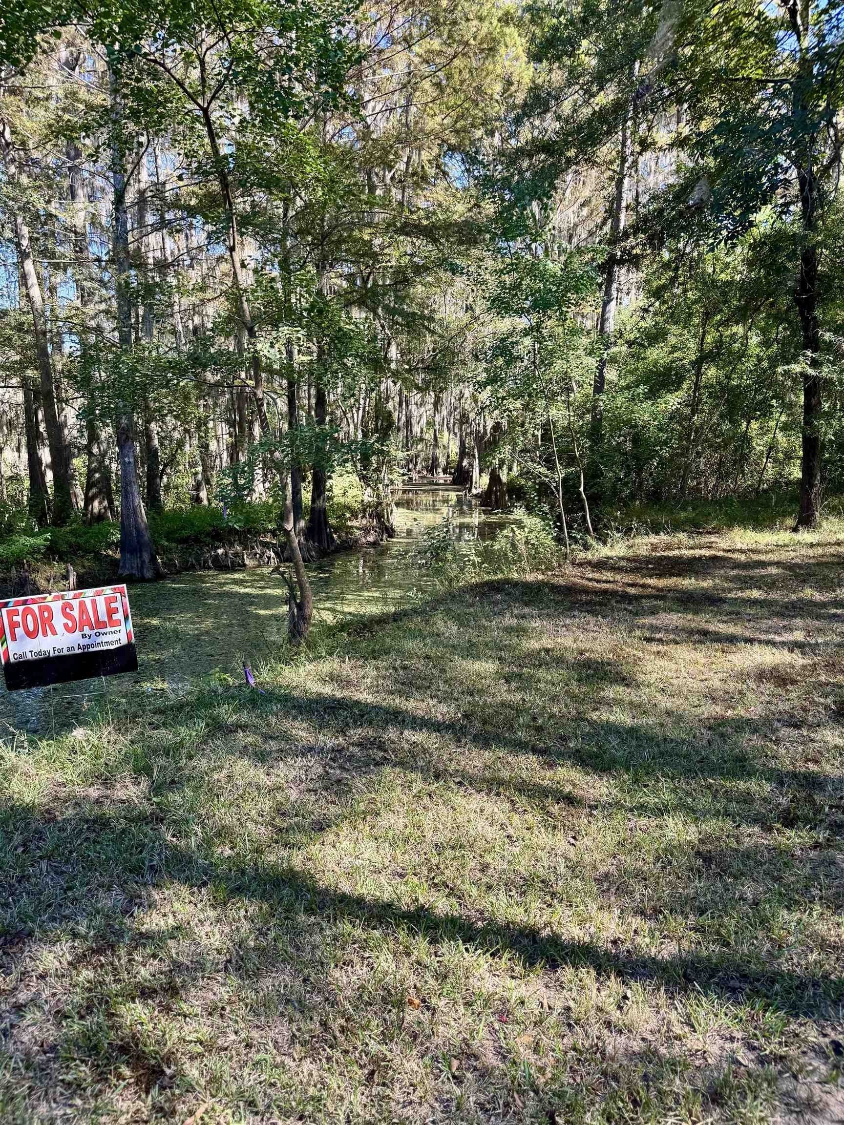 0.7 acres in Texas County gallery image 3