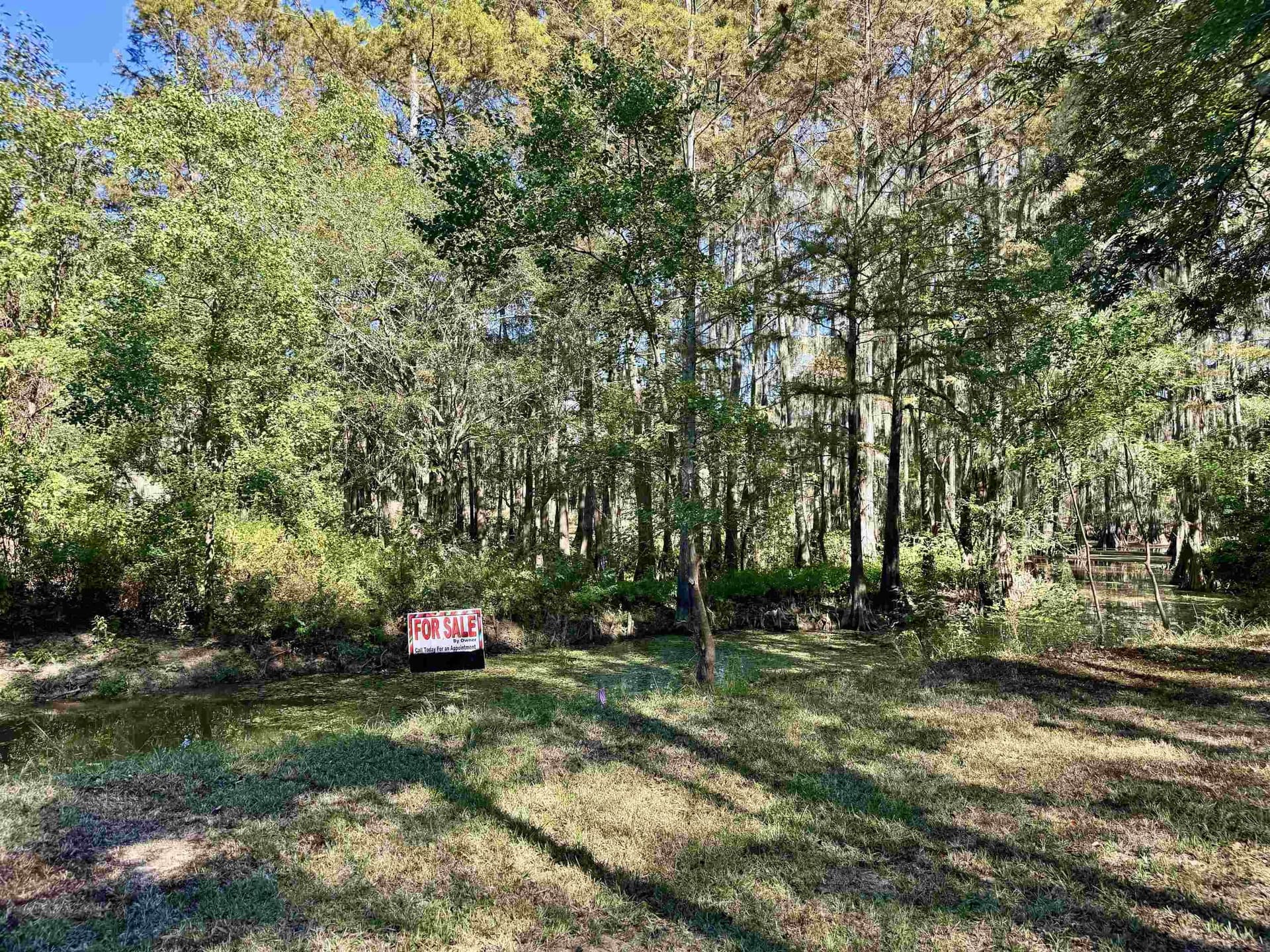 0.7 acres in Texas County gallery image 4