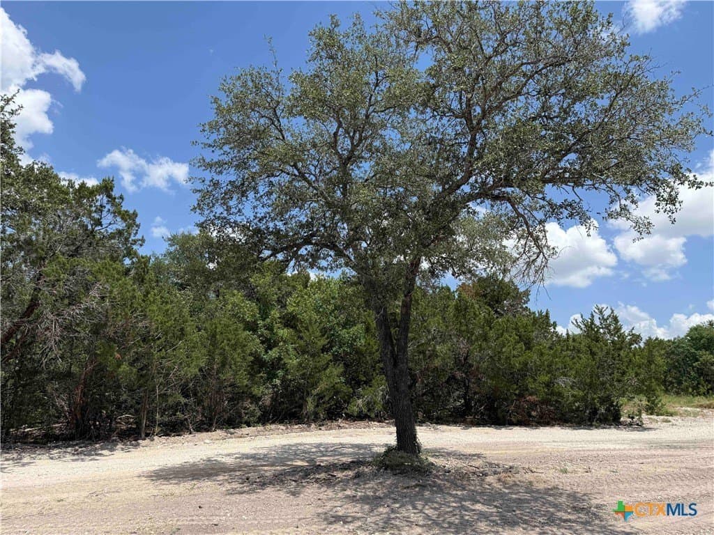 2.37 acres in Bell County gallery image 4