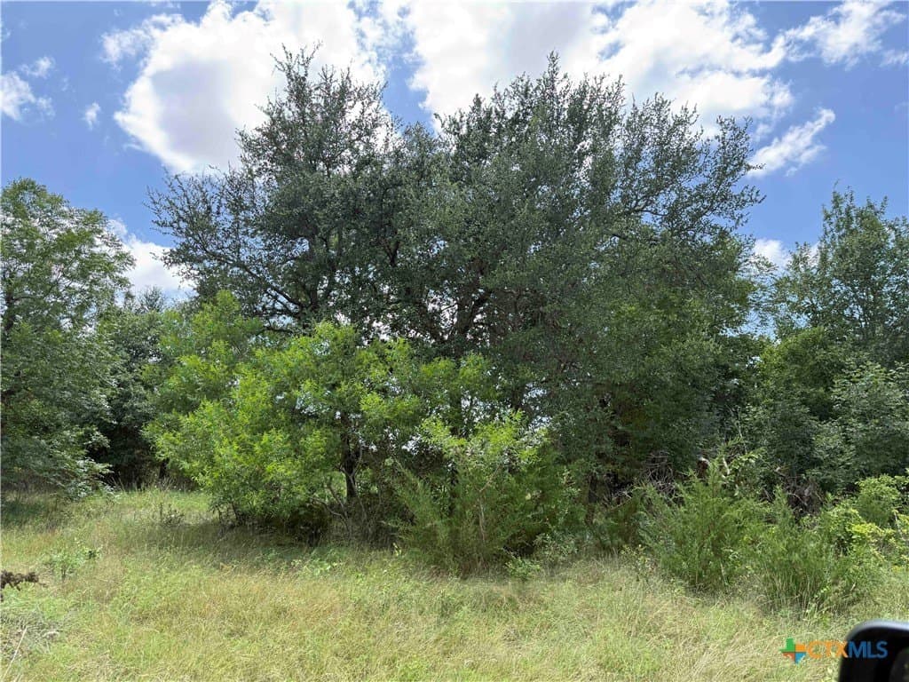 2.37 acres in Bell County - photo 11