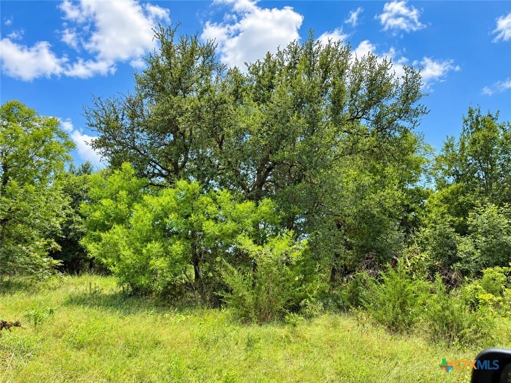 2.37 acres in Bell County - photo 10