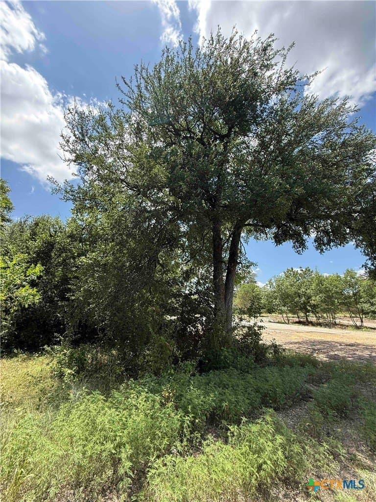 2.37 acres in Bell County - photo 8