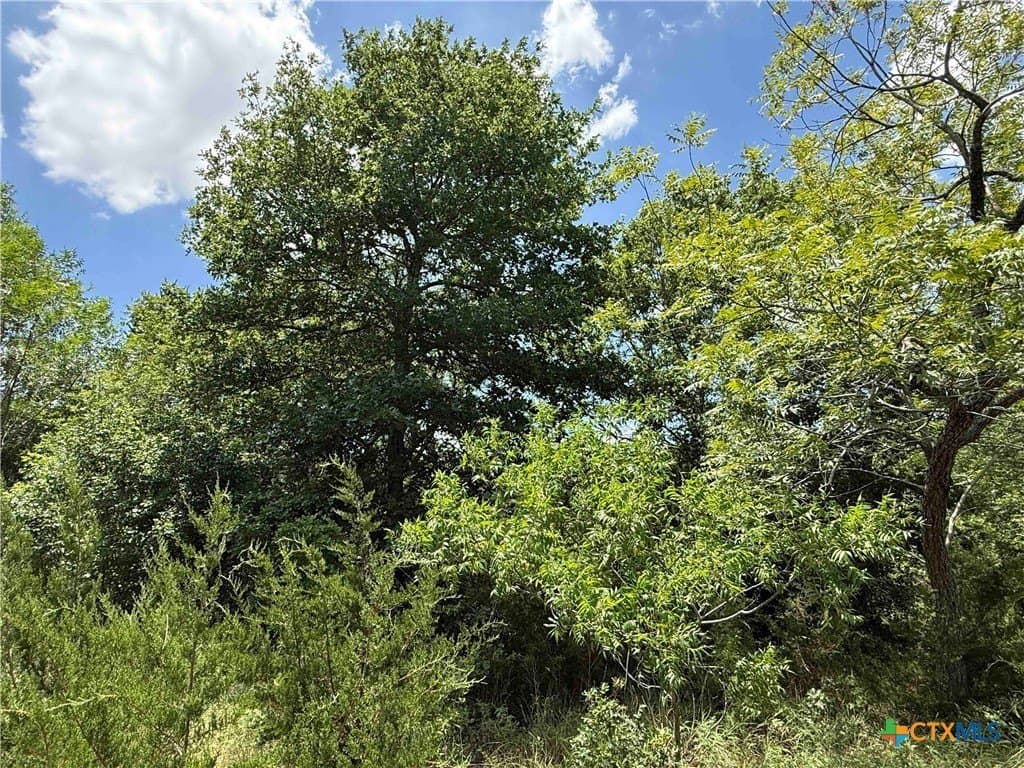 2.37 acres in Bell County - photo 10