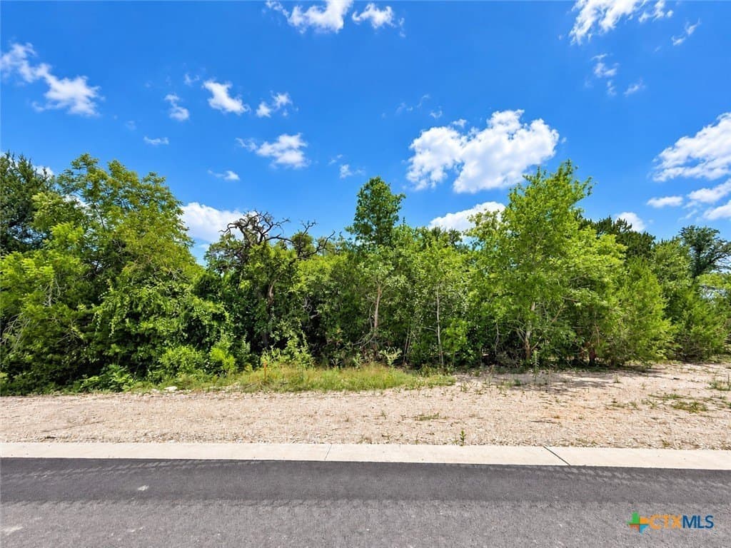2.37 acres in Bell County - photo 4