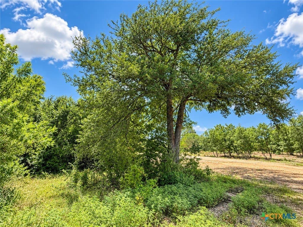 2.37 acres in Bell County - photo 9
