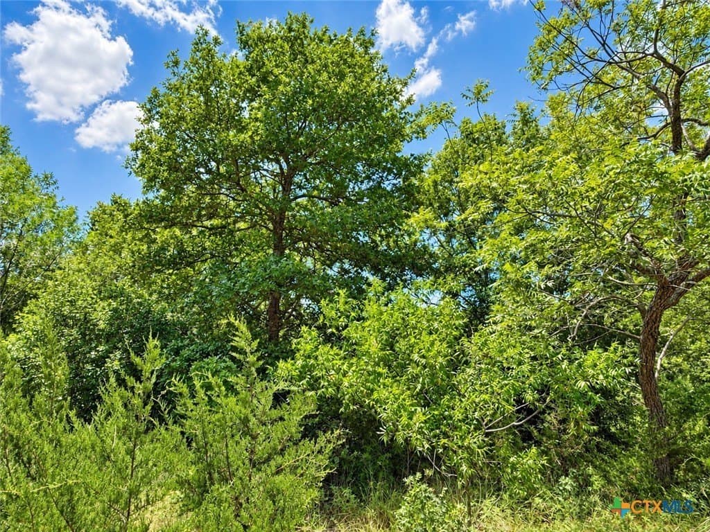 2.37 acres in Bell County - photo 7