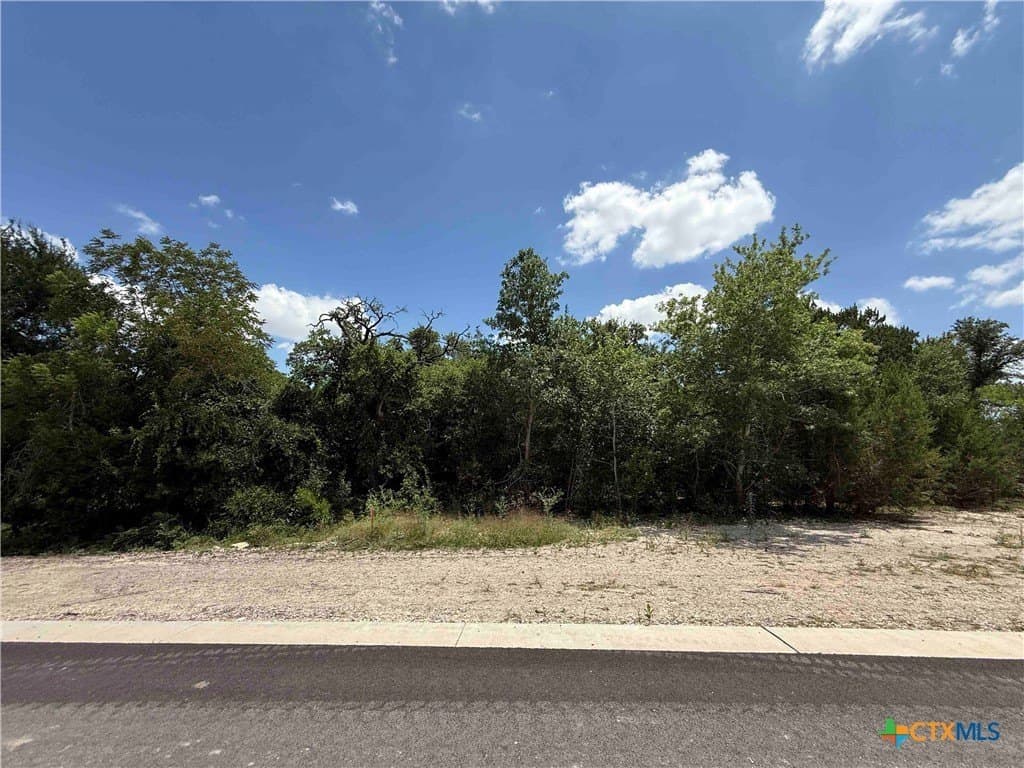2.37 acres in Bell County - photo 7