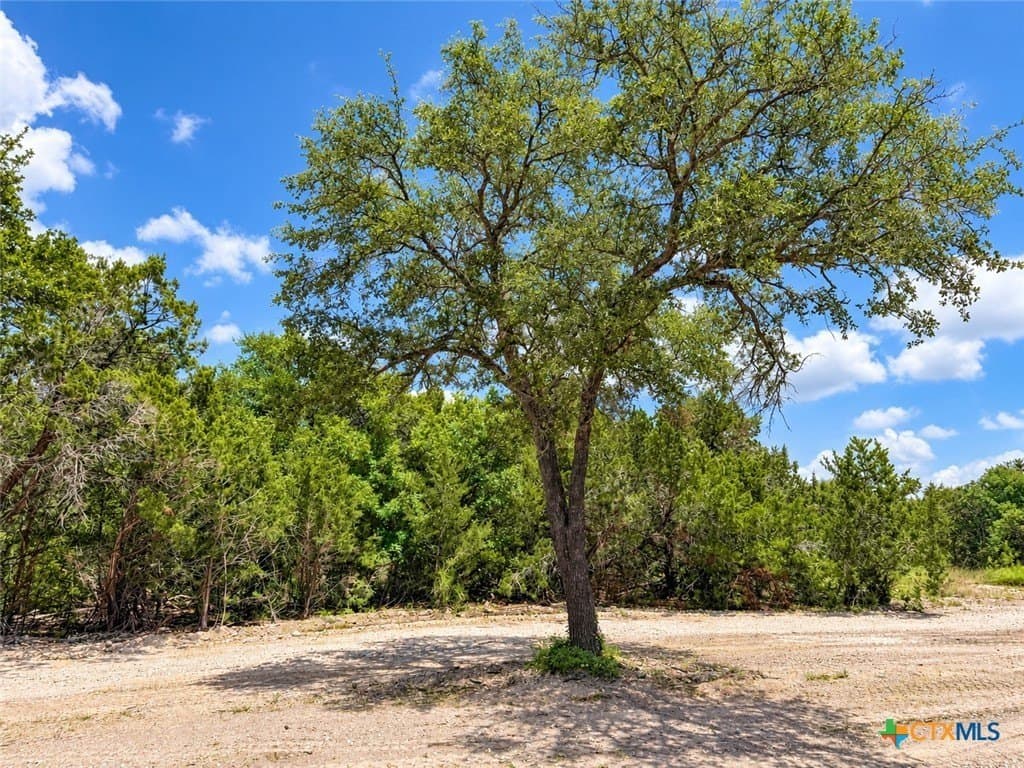 2.37 acres in Bell County - photo 5