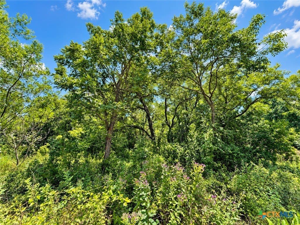 2.37 acres in Bell County - photo 8