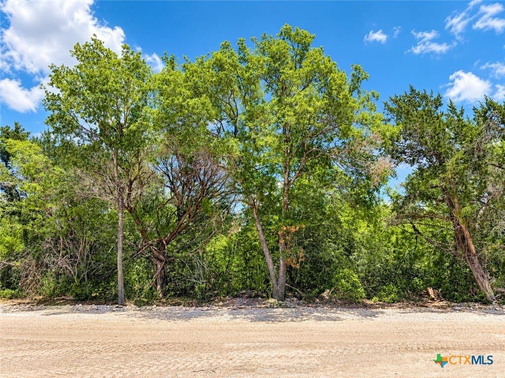 2.37 acres in Bell County - photo 6