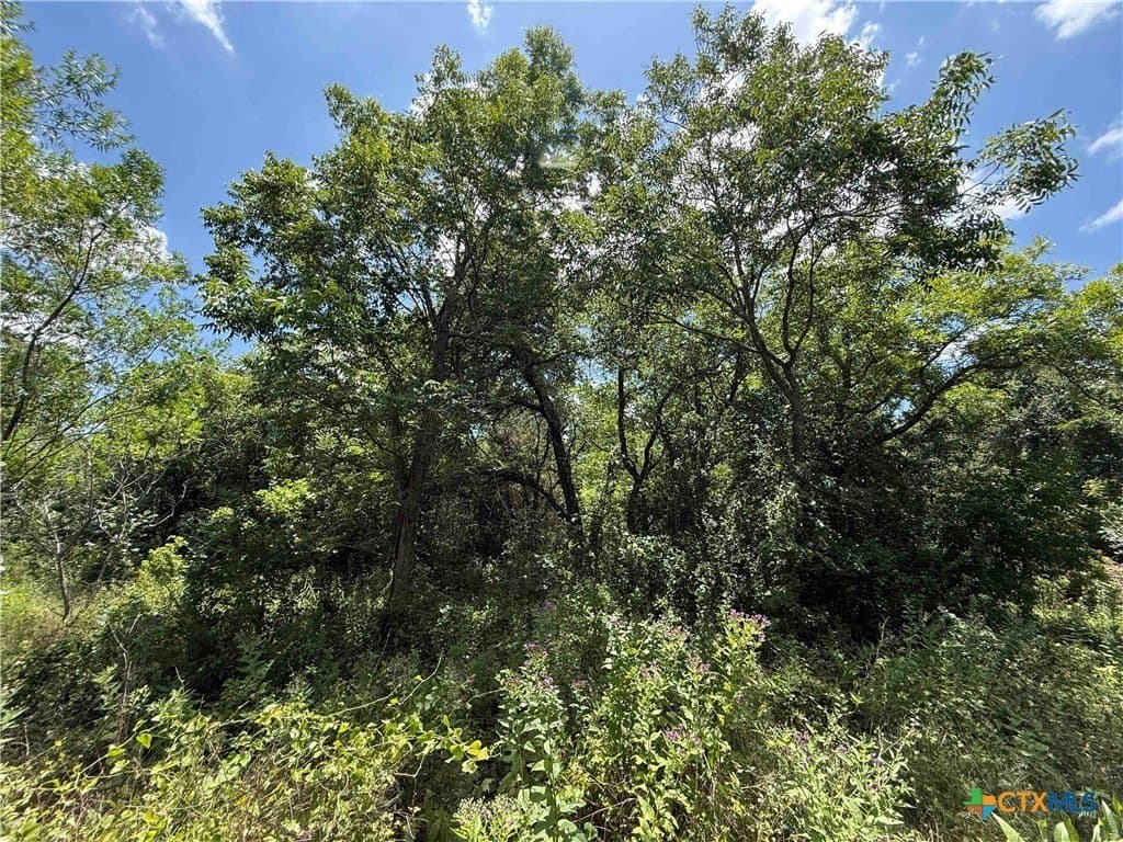 2.37 acres in Bell County - photo 9