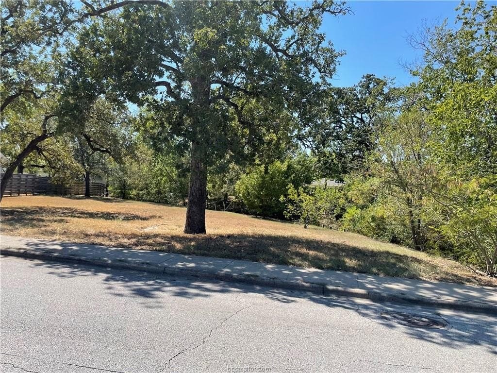 0.28 acres in Brazos County - photo 4