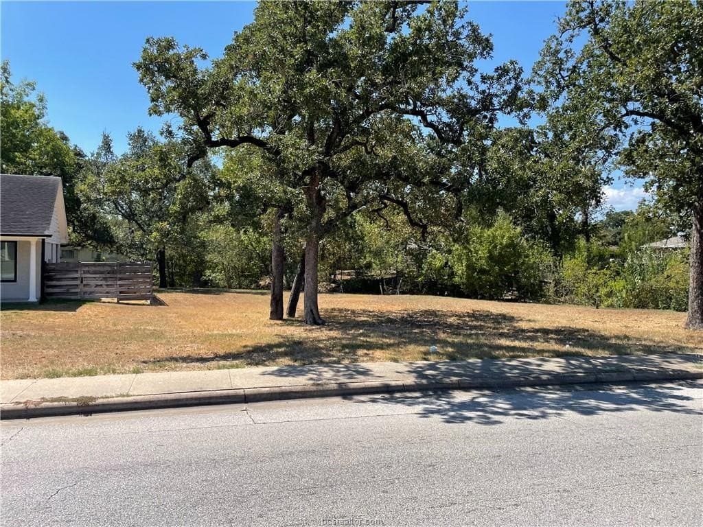 0.28 acres in Brazos County - photo 2