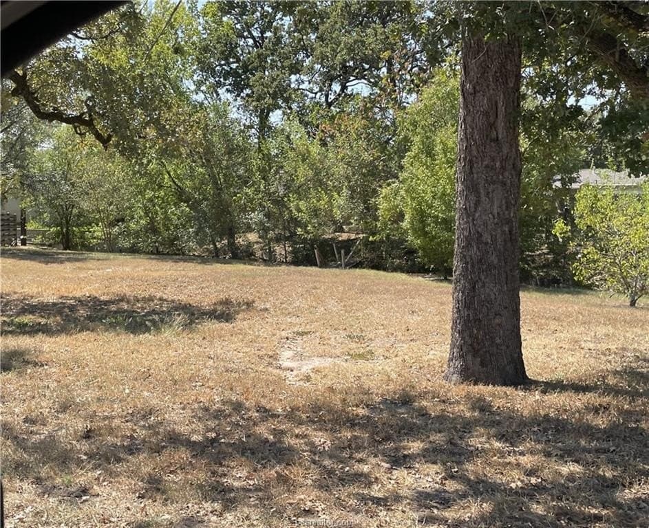 0.28 acres in Brazos County - photo 5